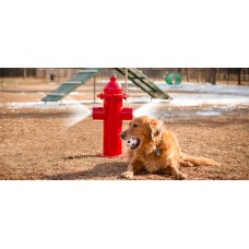 FIRE HYDRANT MISTING