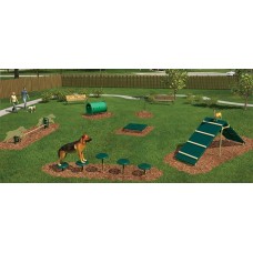 Intermediate Barkpark Kit