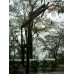 Slam Nitro Adjustable Basketball System Inground