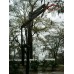 Slam Nitro Adjustable Basketball System Inground